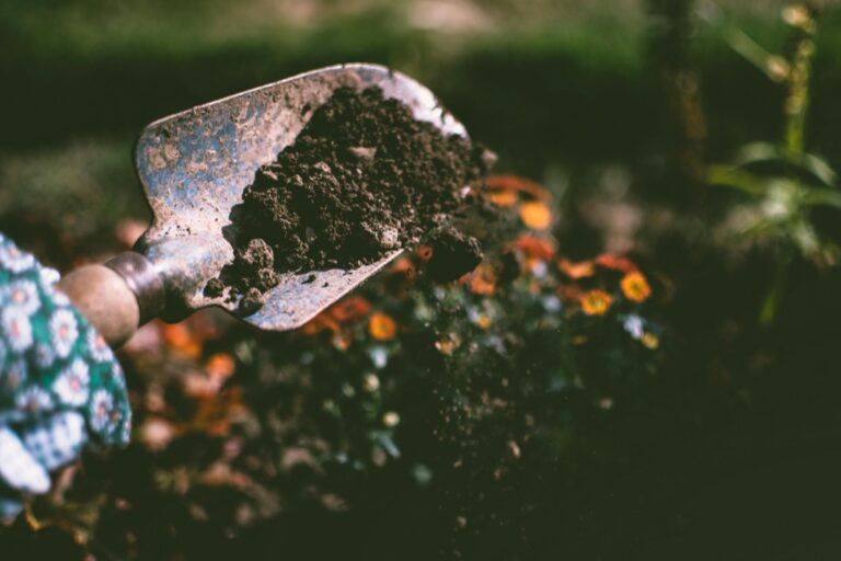 5 Best Manual Tillers for Small Plots That Save Your Back & Time